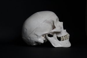 Human skull against black background